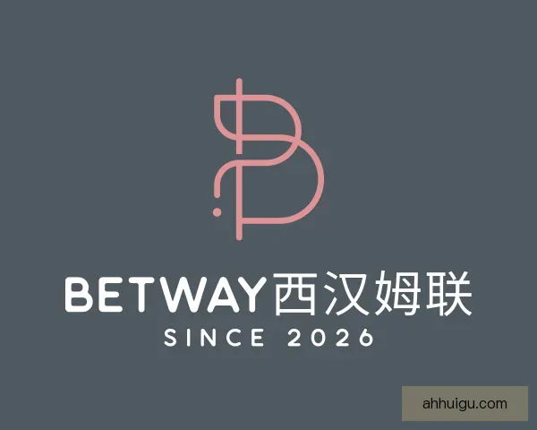 关于betway西汉姆联
